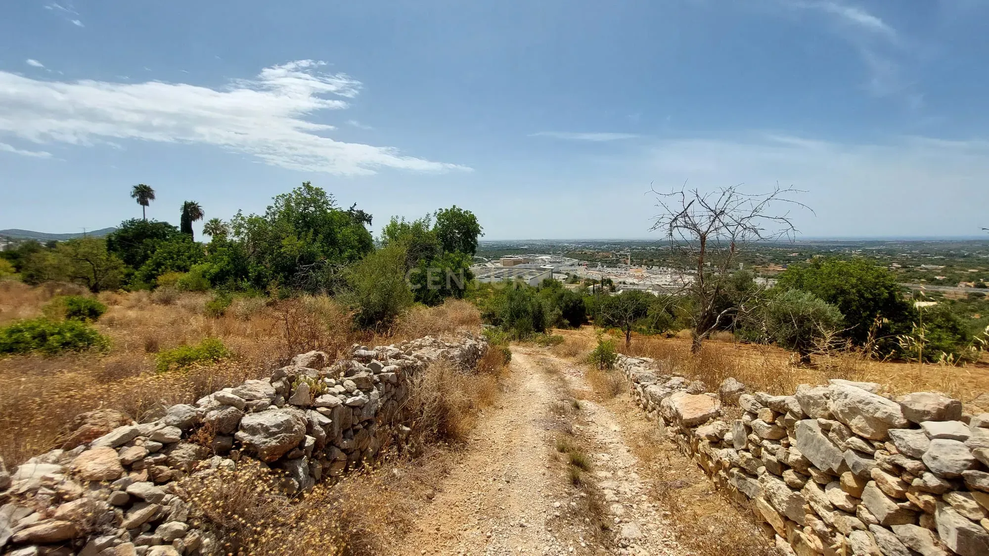 Fotografia 7 de Terreno rústico com vista mar e panorâmica | 2.200 m²