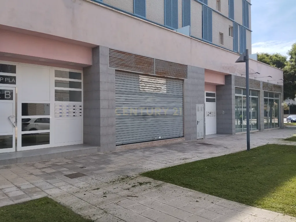 - Image 4