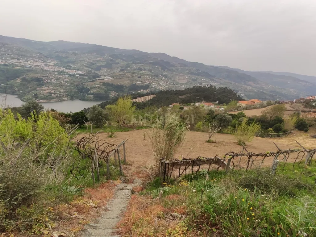 Terreno com casinha e vista para o rio Douro, em S. Tomé de Covelas, Baião para projeto agrícola - Image 67