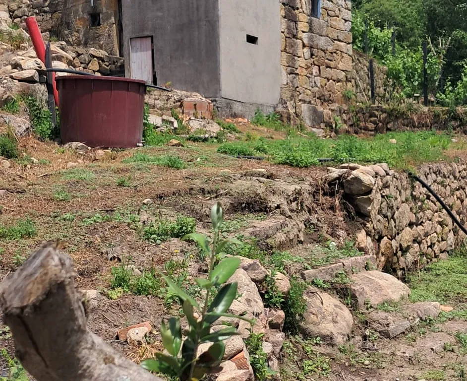 Oportunidade Única: Moradia para reconstrução em Penha Longa, Marco de Canaveses - Image 3