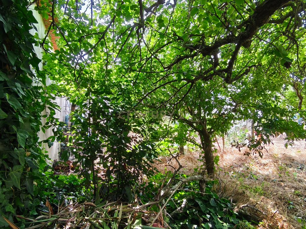 Moradia T4 em Torres Vedras em lote de 625m2 - Image 7