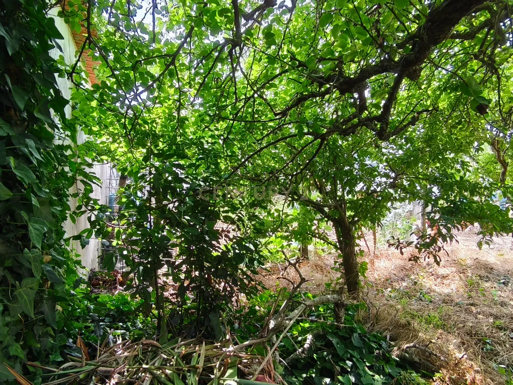 Moradia T4 em Torres Vedras em lote de 625m2 - Image 7