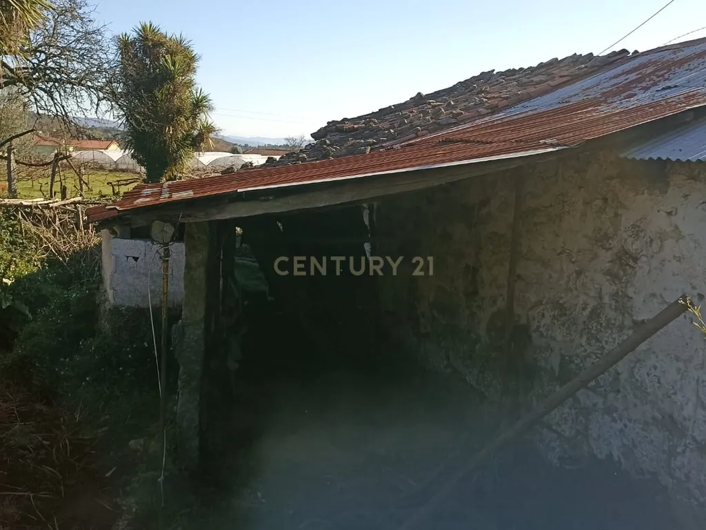 Quintinha Única com 6000m² de Terreno Construtivo – Serzedelo, Póvoa de Lanhoso - Image 6