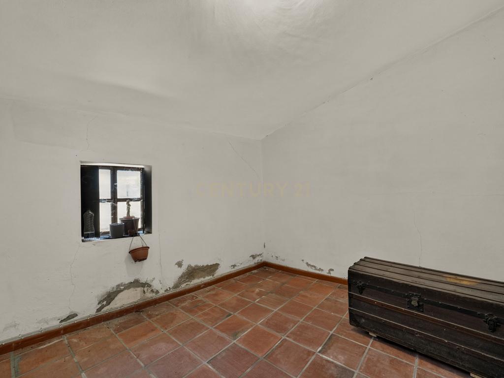 HERDADE COM 5,9 HECTARES, MORADIA E CAVALARIÇA | SANTIAGO DO ESCOURAL - Image 24