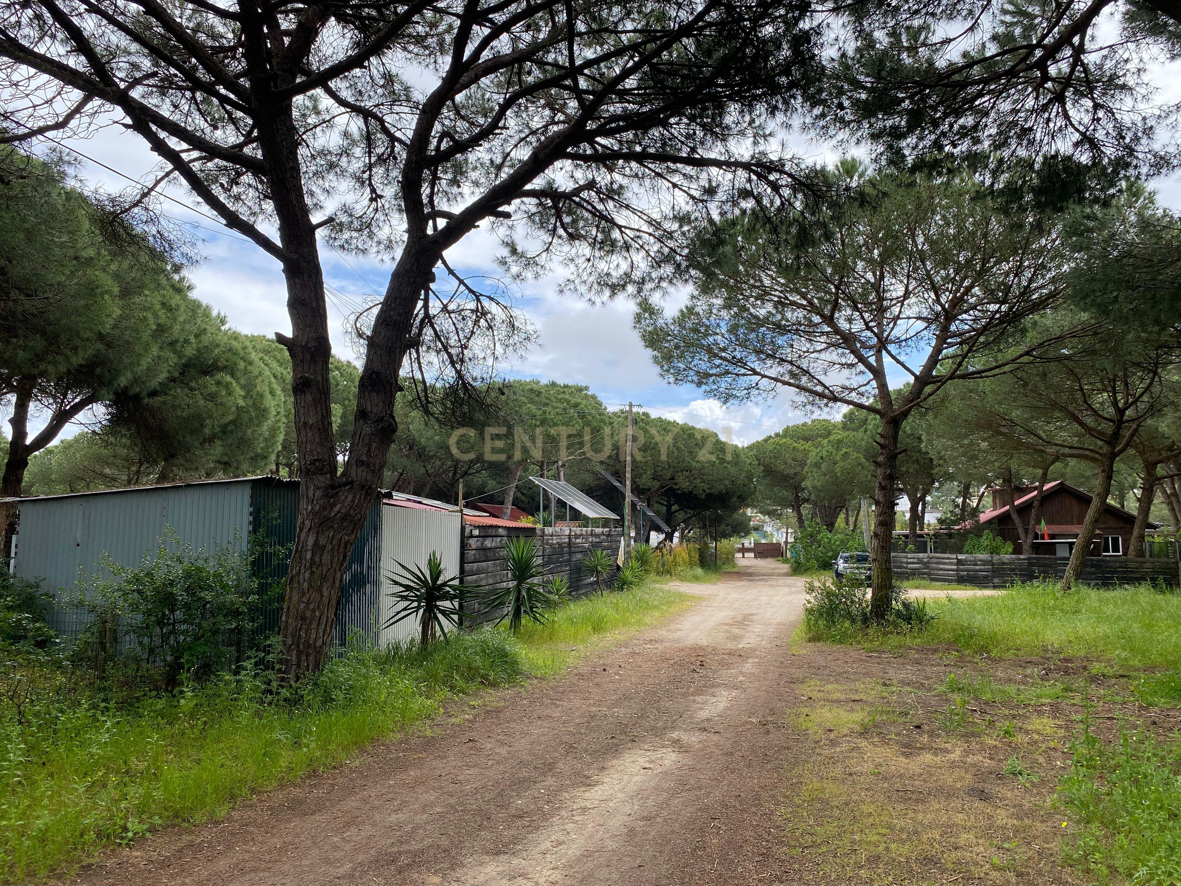 Moradia na Quinta de Zimbral - Charneca de Caparica  - Image 19