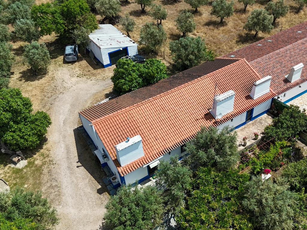 Quinta T3+3 com 4 HA em Borba – Natureza, Produção Agrícola e Conforto - Image 32