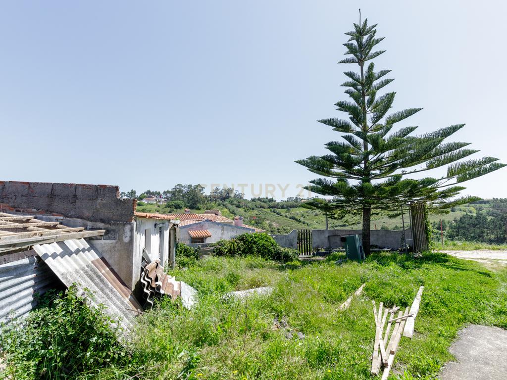 À procura de espaço para investir, fugir aos fins de semana ou começar um projecto a dois? - Image 34