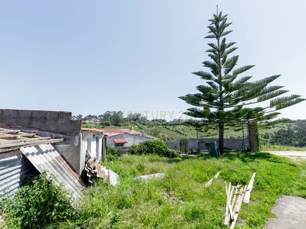 À procura de espaço para investir, fugir aos fins de semana ou começar um projecto a dois? - Image 34