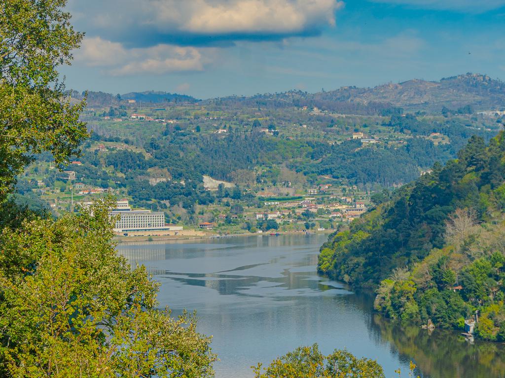 Terreno com magnifica Vista para o Rio Douro em Paços de Gaiolo - Image 13