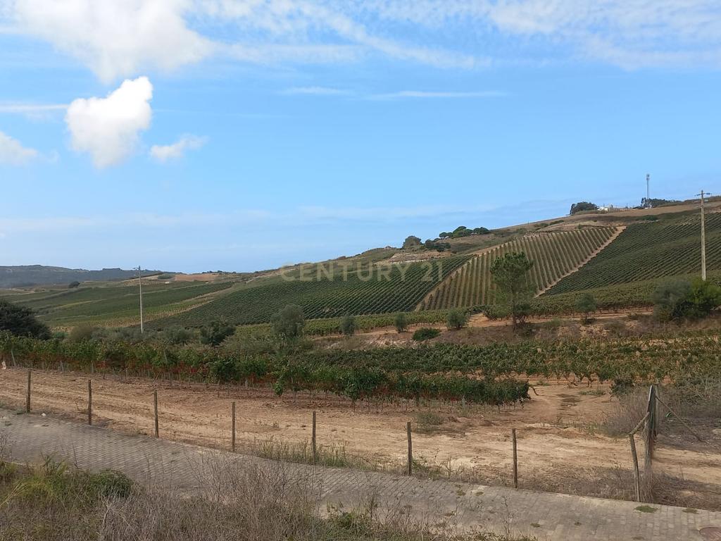LOTE 481m2 C/ PROJECTO APROVADO PARA MORADIA ISOLADA UNIFAMILIAR COM PISCINA E JARDIM - Image 21