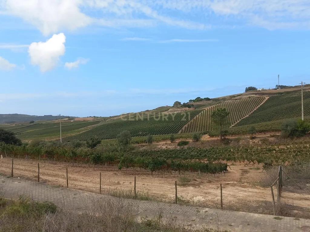 LOTE 481m2 C/ PROJECTO APROVADO PARA MORADIA ISOLADA UNIFAMILIAR COM PISCINA E JARDIM - Image 21