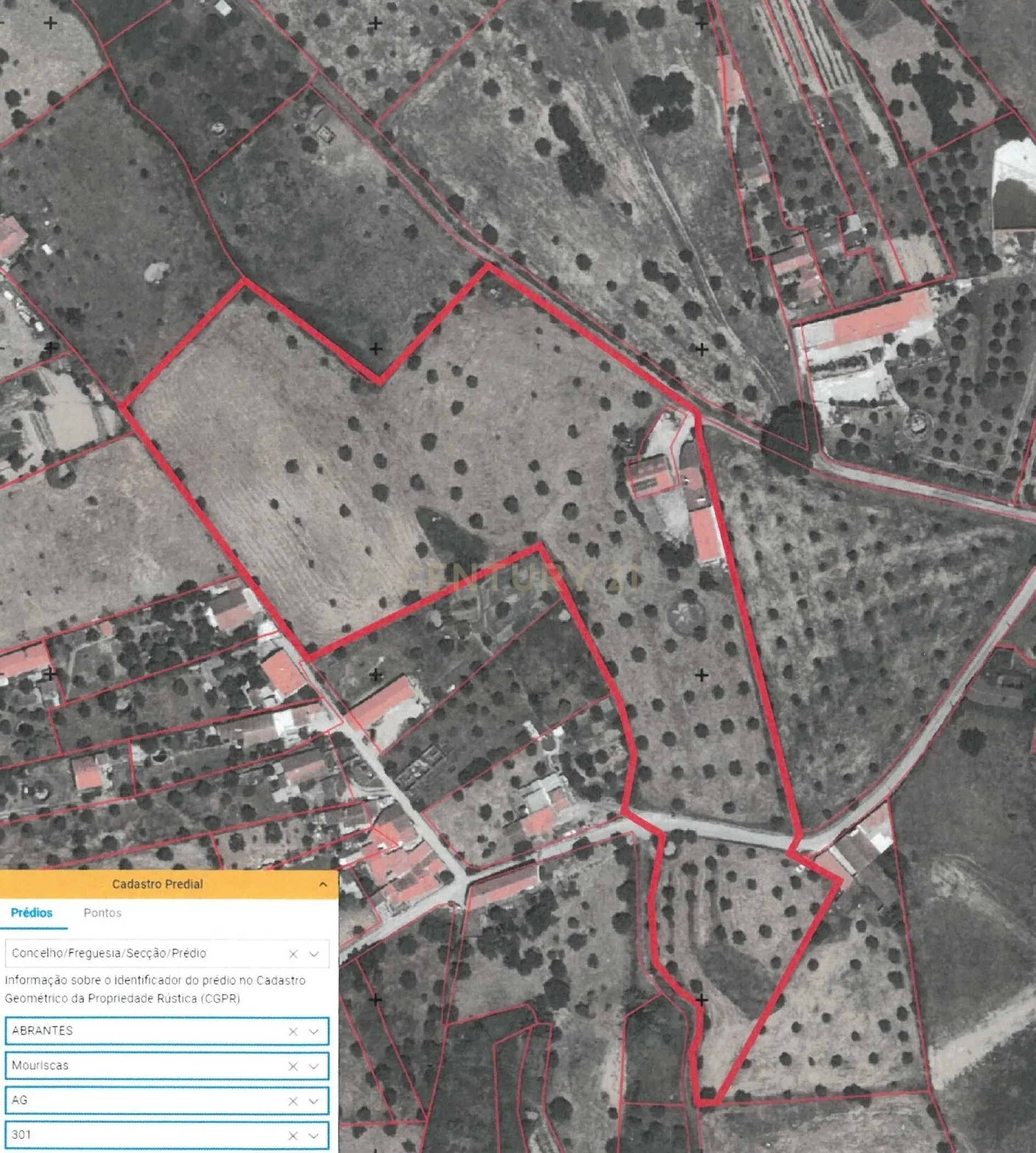 Quintinha com moradia de 10 assoalhadas e anexos, lote de 19.060m2, Mouriscas, Abrantes - Image 1