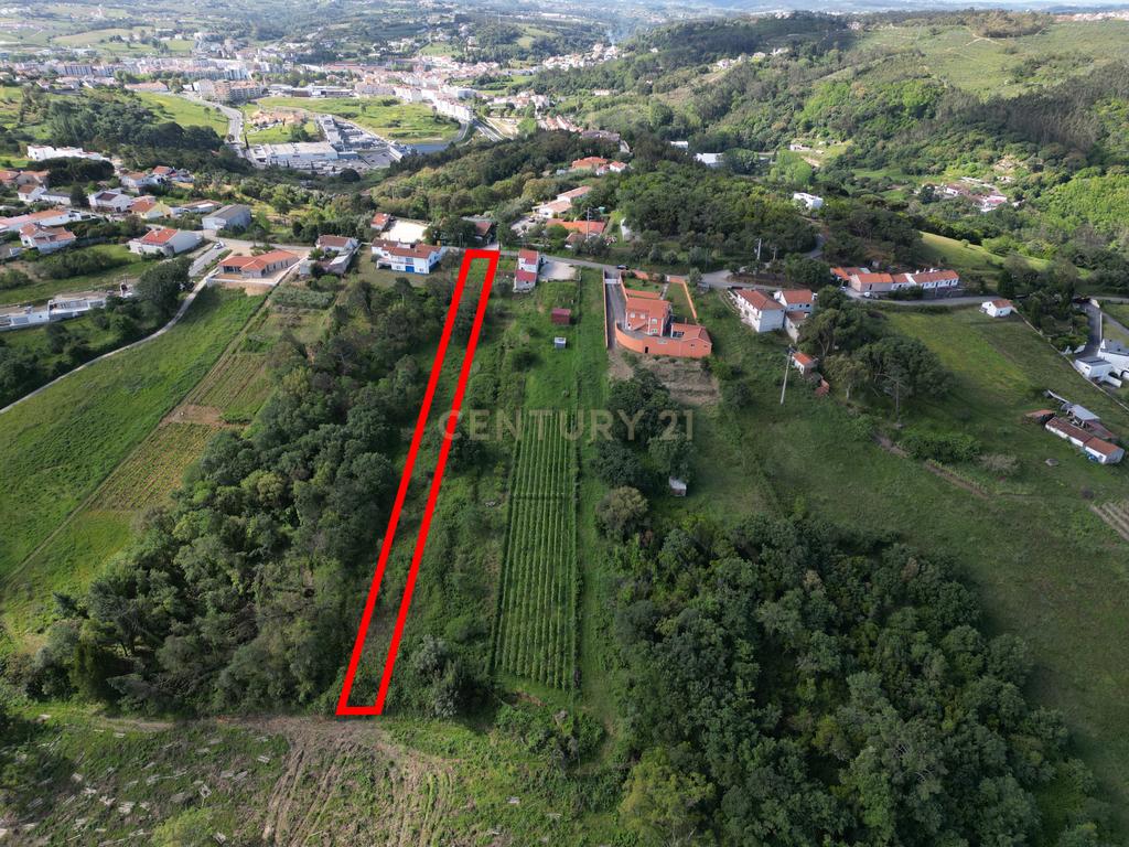 Terreno para construção - Bemposta, Maiorga, Alcobaça - Image 6