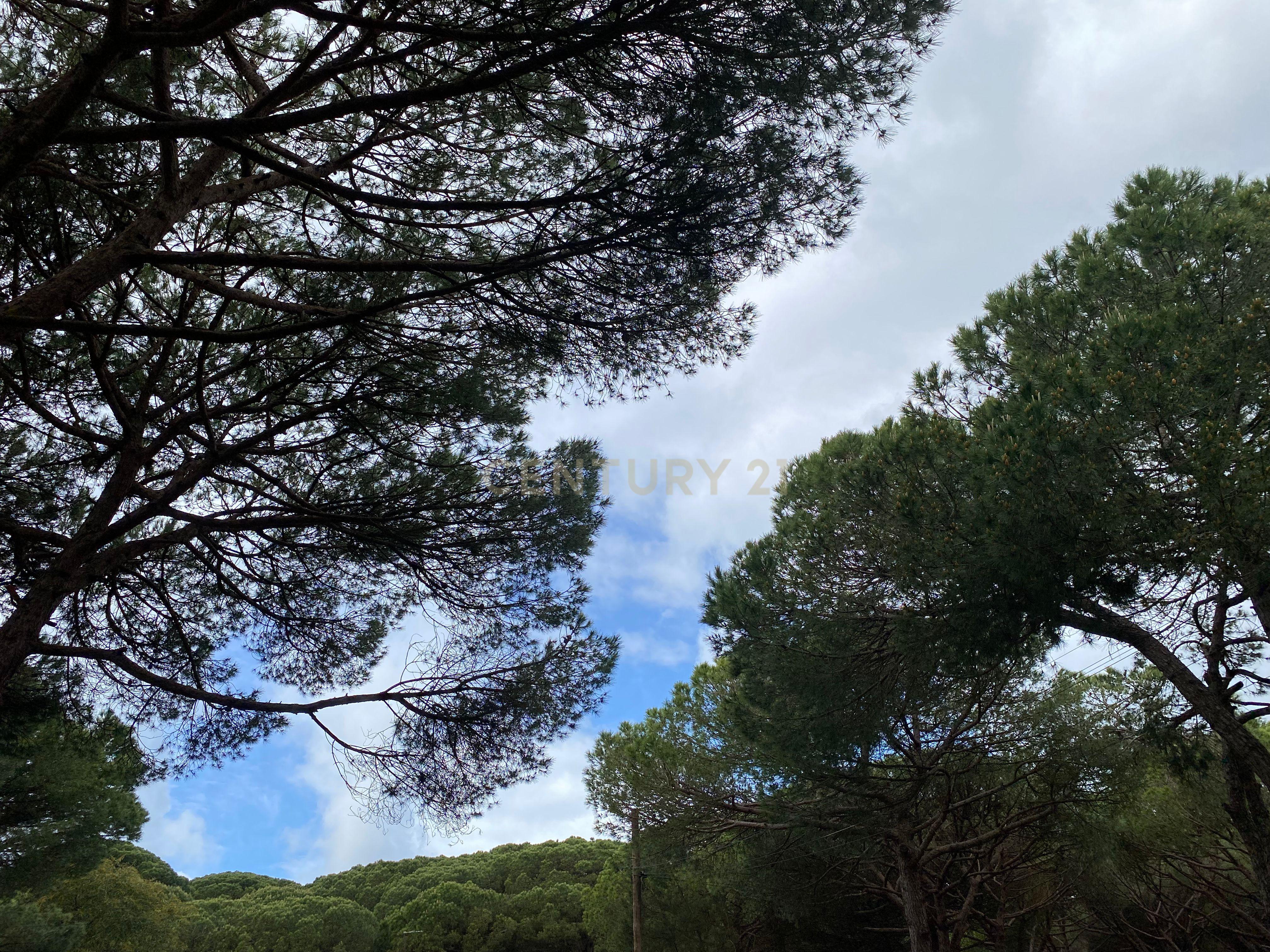 Moradia na Quinta de Zimbral - Charneca de Caparica  - Image 23