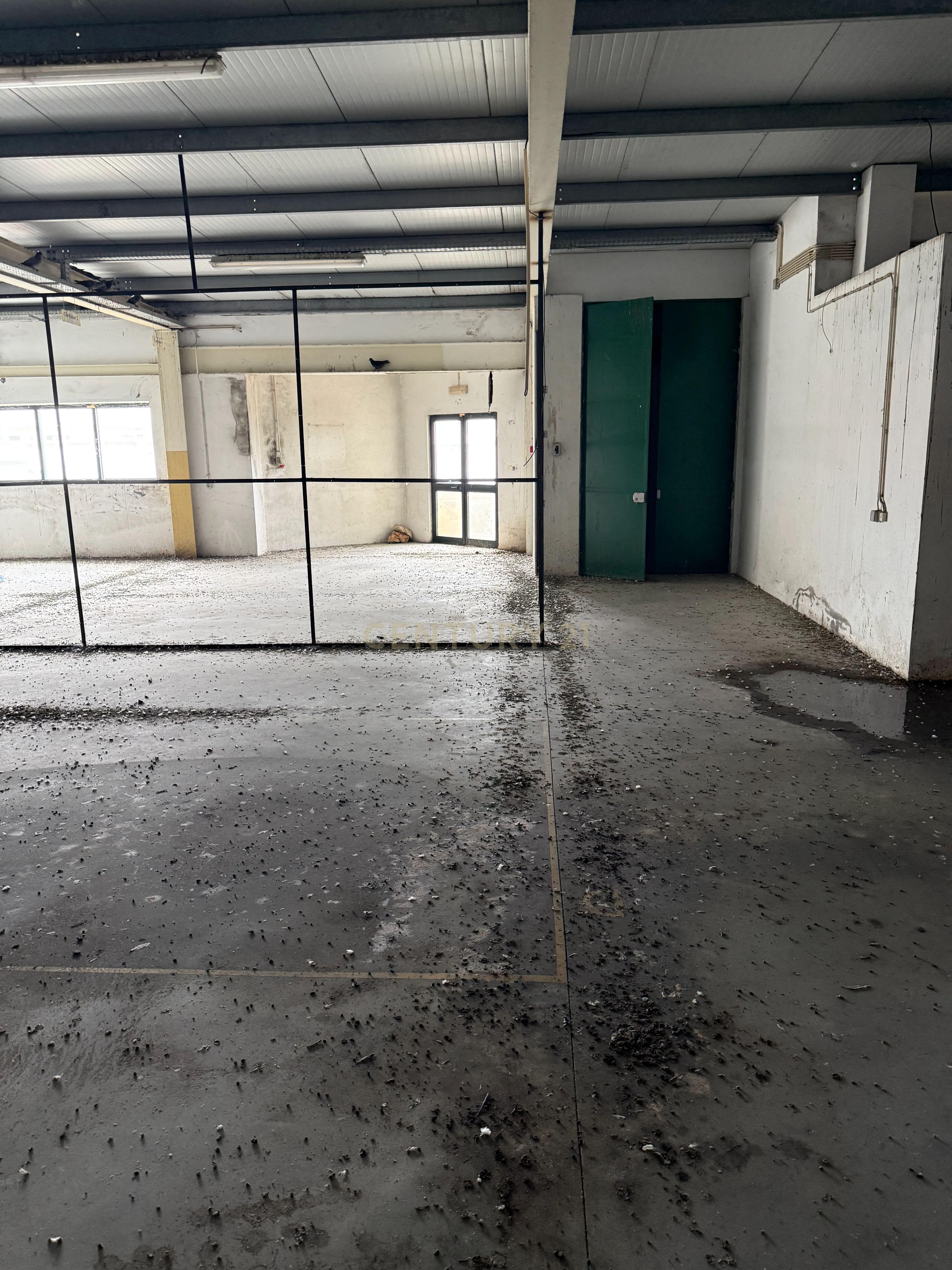 Fotografia 8 de Armazém de 1.000 m² | 2 Pisos | Elevado Potencial de Rentabilidade