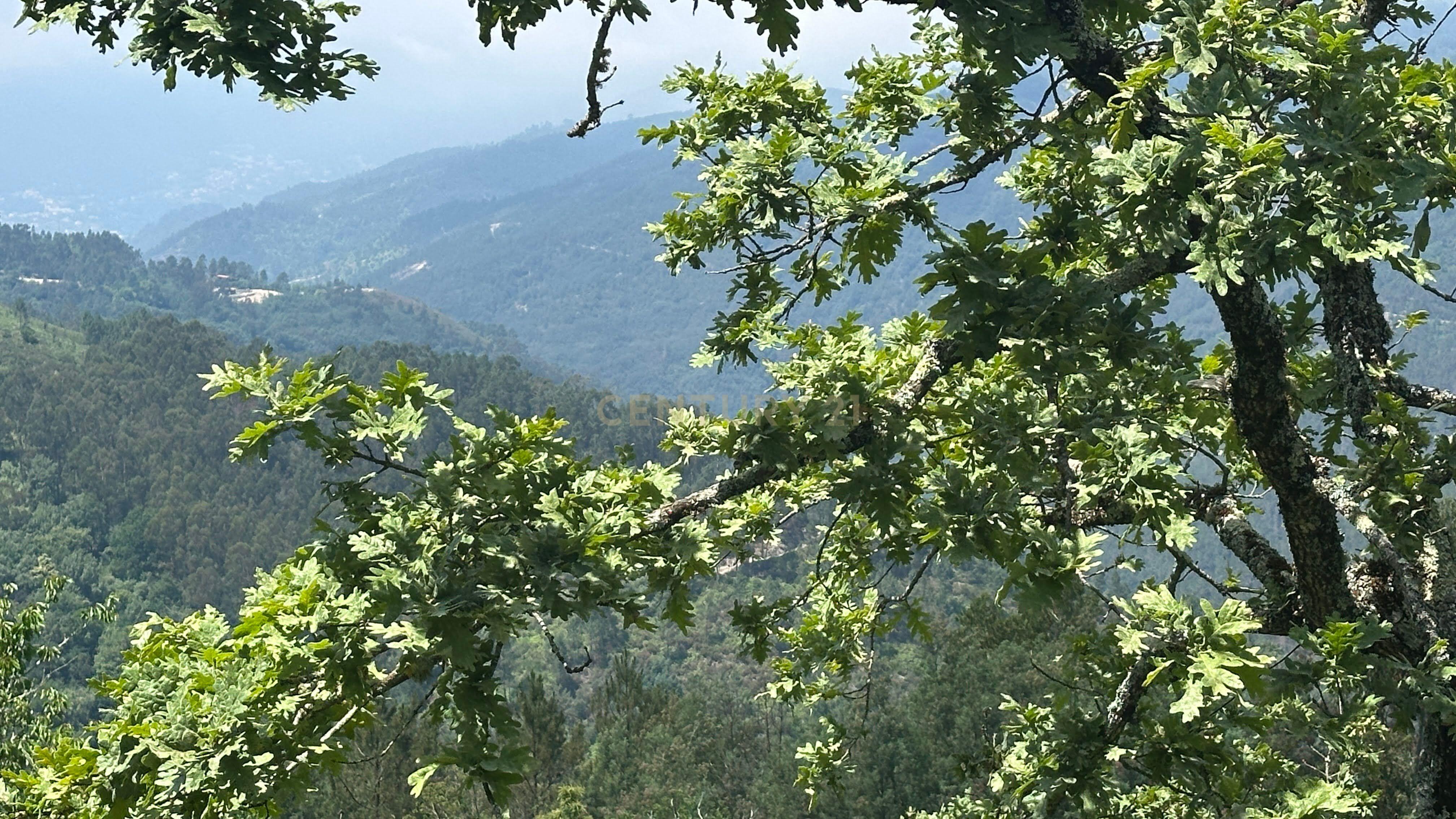 Fotografia 6 de O Refúgio Perfeito no Topo do Gerês: Onde o Silêncio Encontra a Imensidão