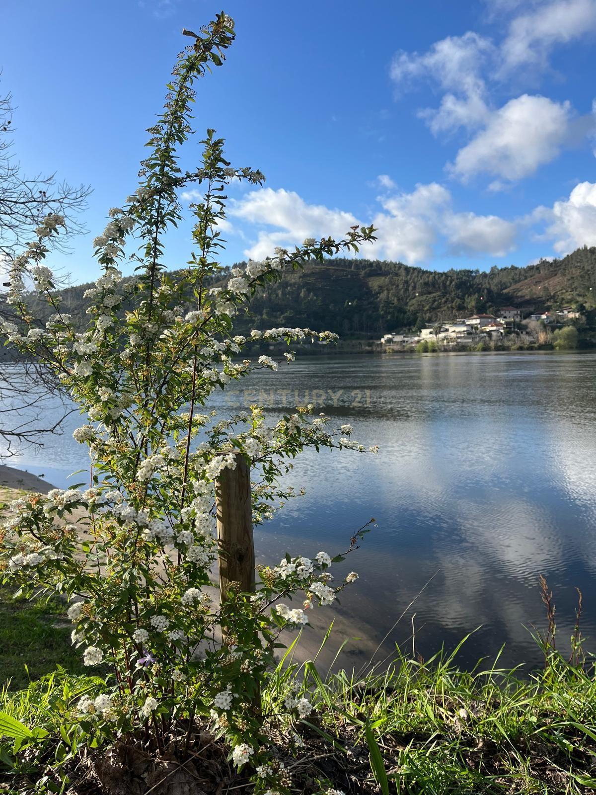 Edifício com T0, T1 e T2 com jardim, jacuzzi e piscina em Castelo de Paiva - Image 10