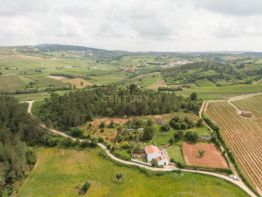 Quinta do Penedo – Runa Torres Vedras - Um Tesouro do Século XVIII com Projeto Turístico Aprovado - Image 45