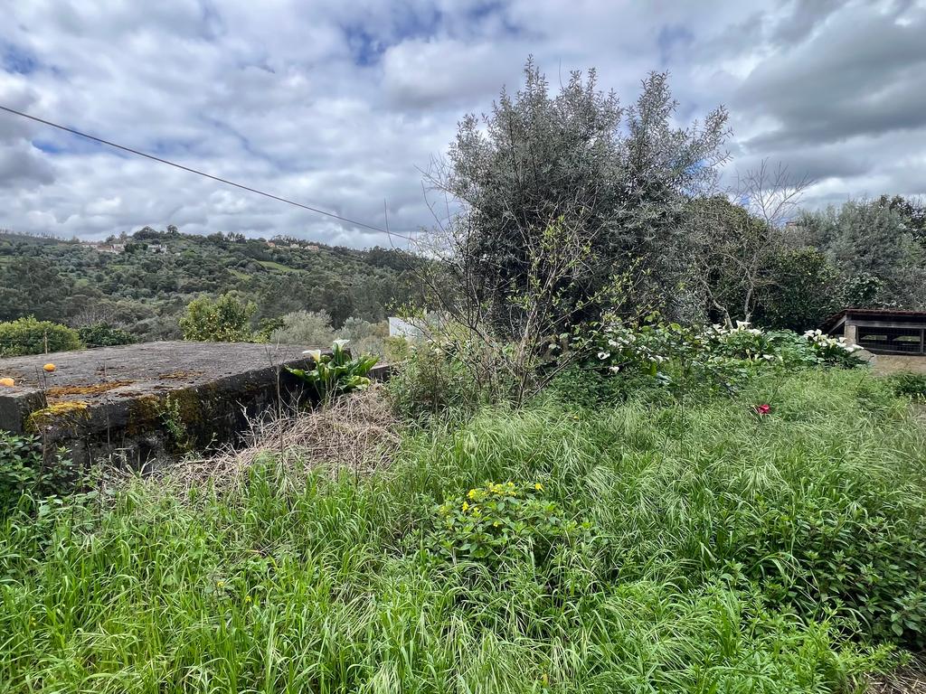 Moradia para remodelar a 1 km da encantadora Ilha do Lombo – Tomar - Image 16