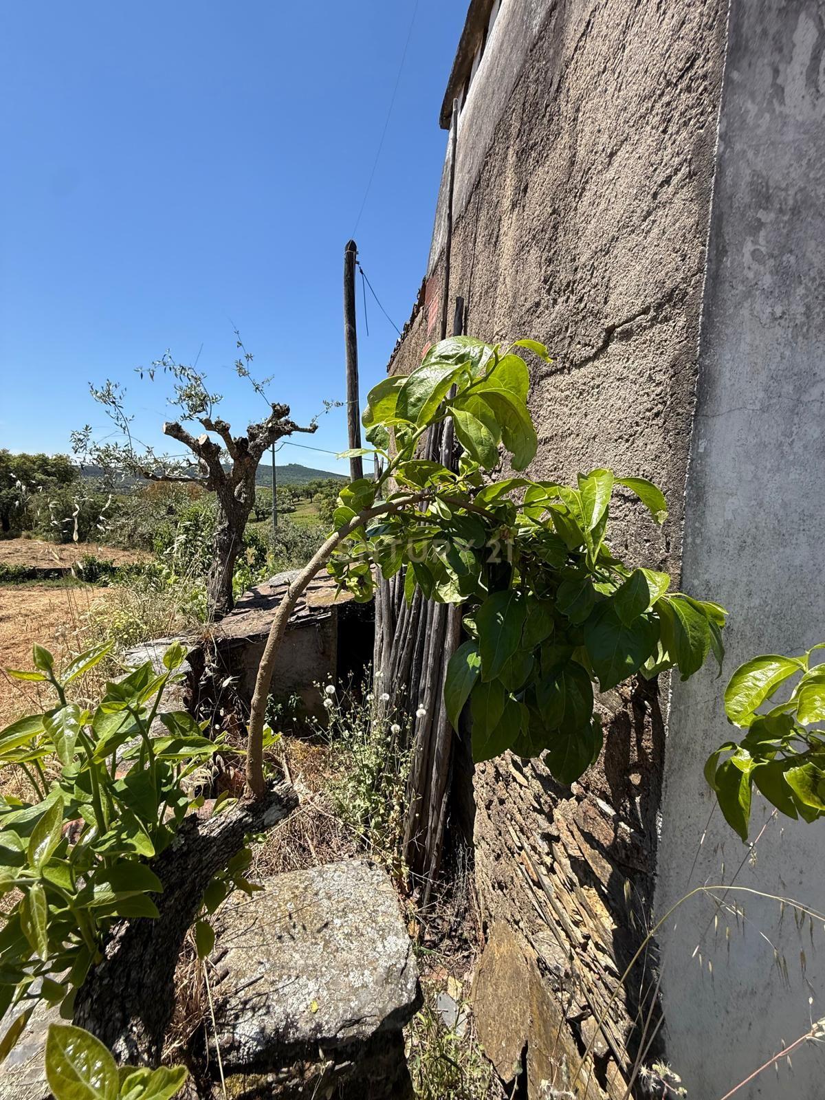 Moradia T1 à venda em Alegrete, Portalegre — foto 22