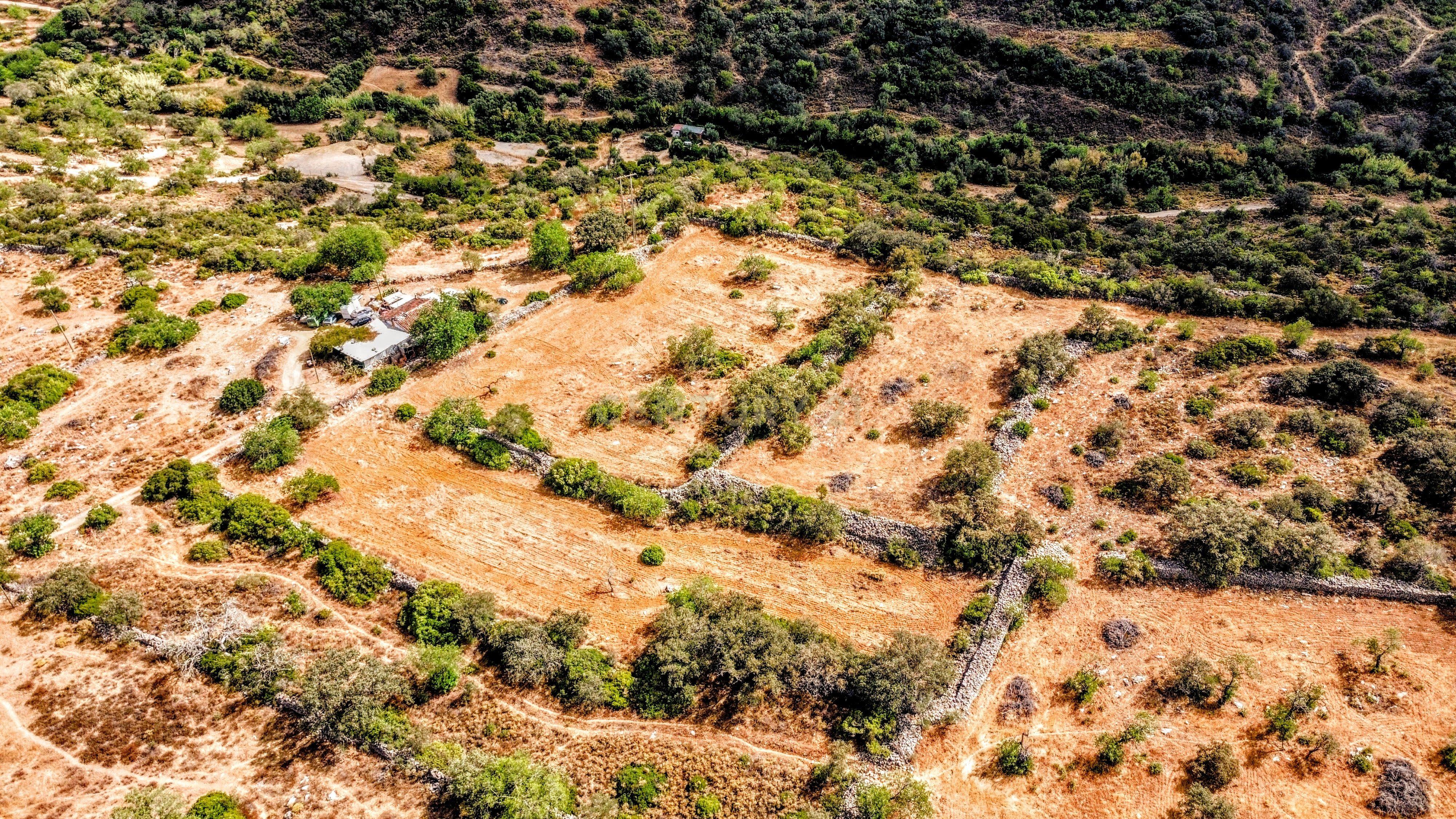 Fotografia 7 de Oportunidade Única: 2 Terrenos Rústicos Próximos de São Brás de Alportel