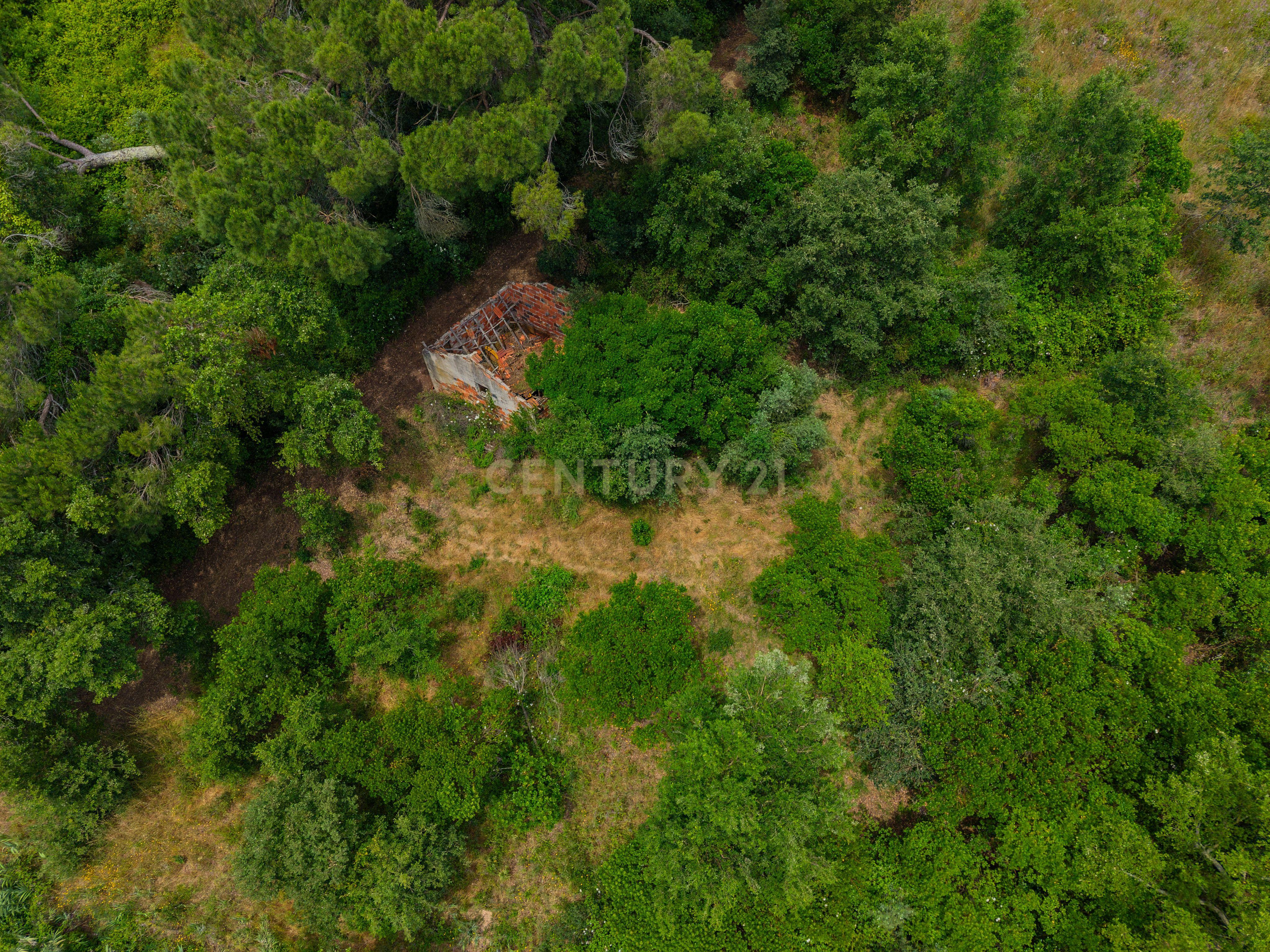 Fotografia 2 de Terreno com 2.705 m² na Boavista, Alcobaça