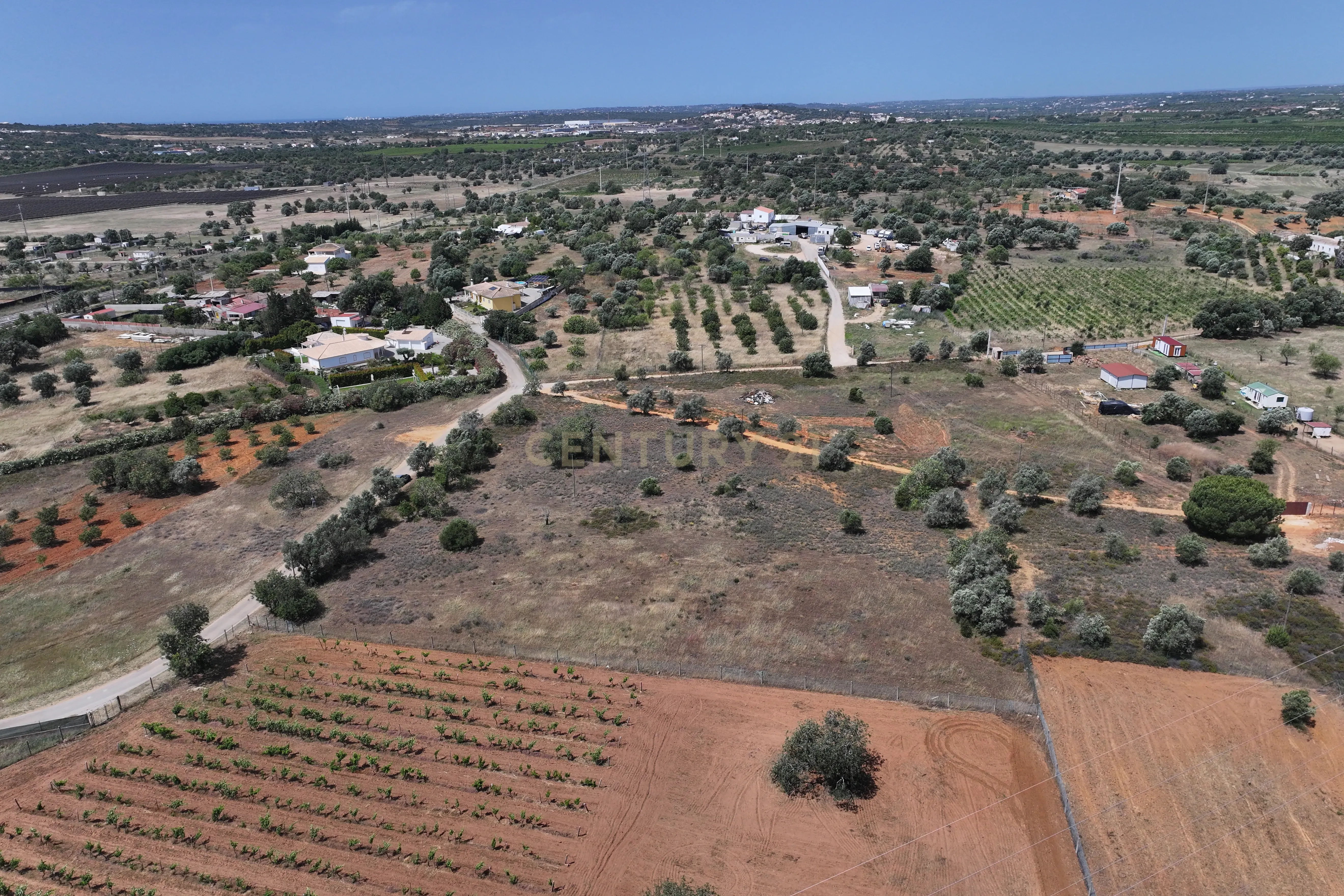 Fotografia 3 de Terreno rústico localizado em Cortesões -Tunes, com uma área total de 7320m²