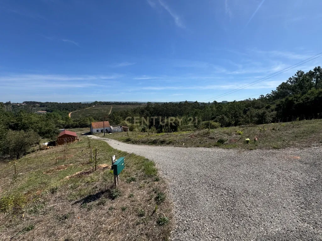 Moradia em ruína com 5.570 m² de terreno em Alvorninha - Image 13