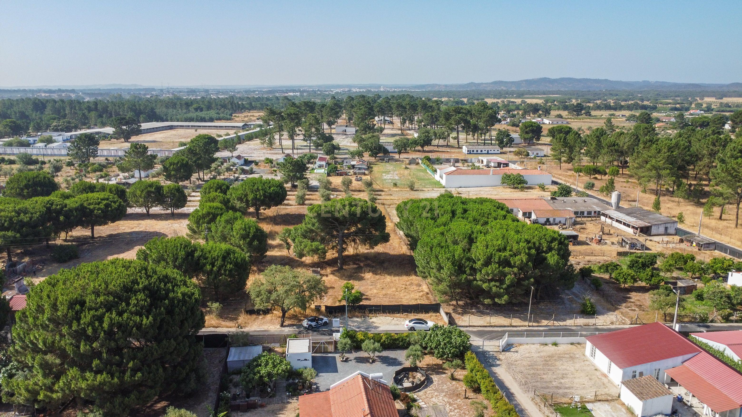 Fotografia 10 de Terreno rústico com 2.600 m² - Vale Gamito, Quinta do Amaro, Grândola