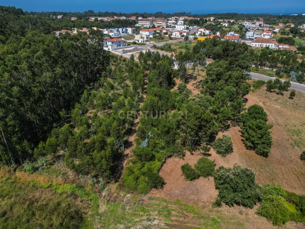 Terreno para investimento em Lavos, Figueira da Foz apenas a 5km da praia - Image 14