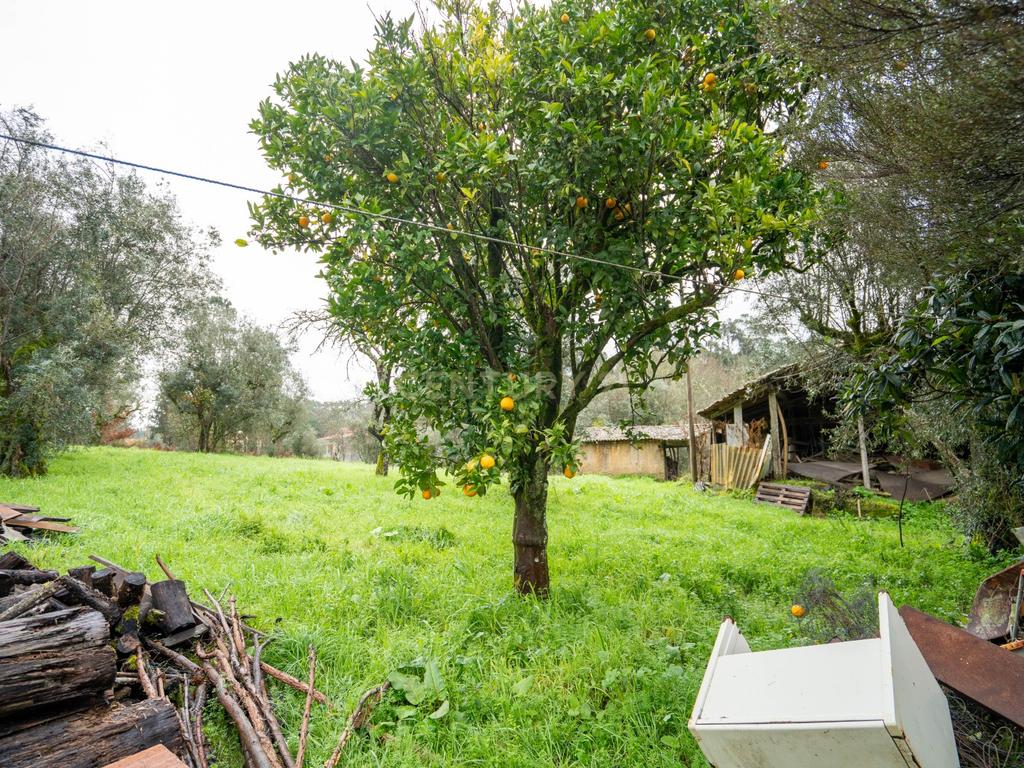 Quinta T5 em Poiares, Vila Nova de Poiares - Oportunidade Única - Image 28