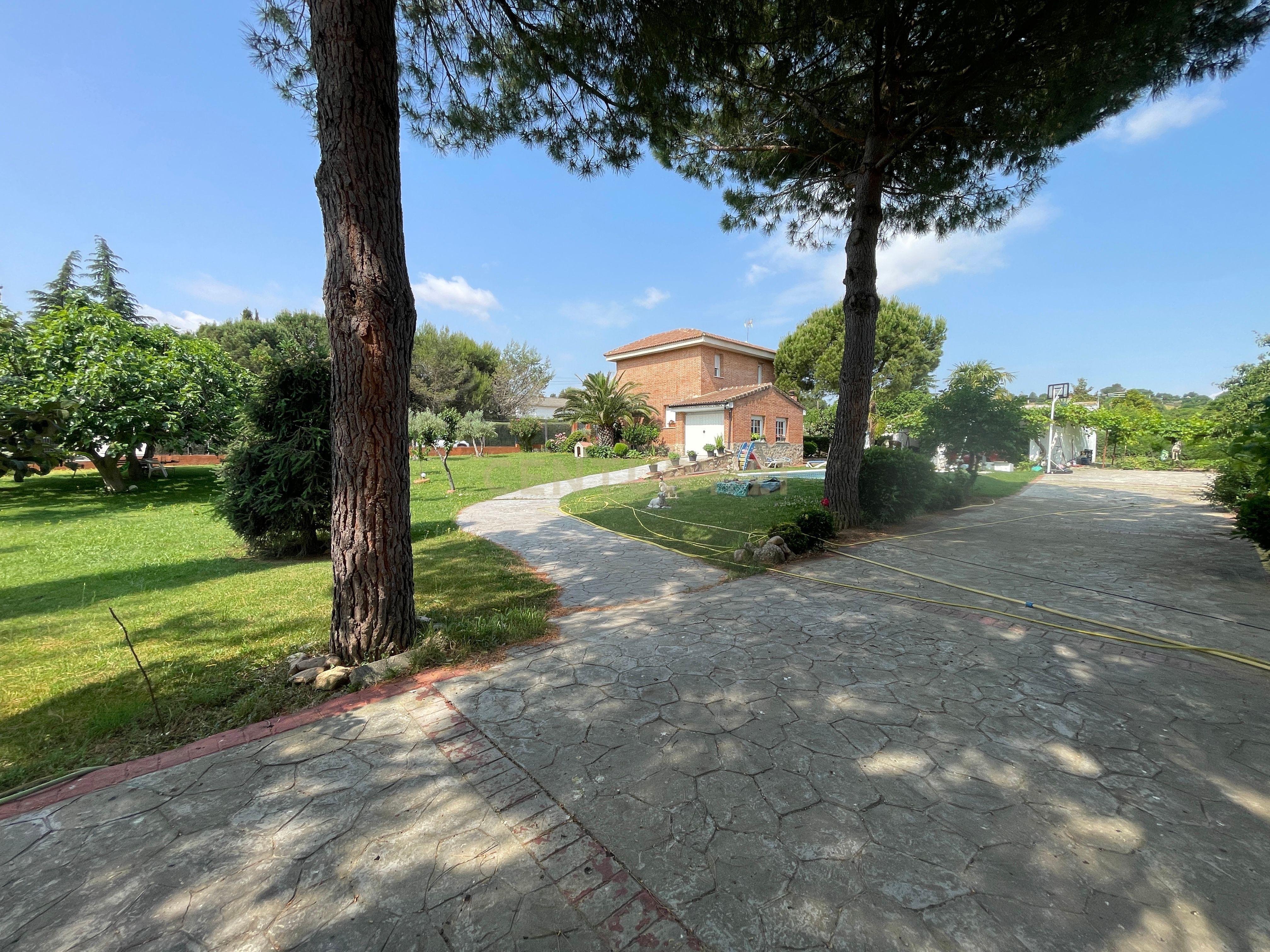  - Image 4