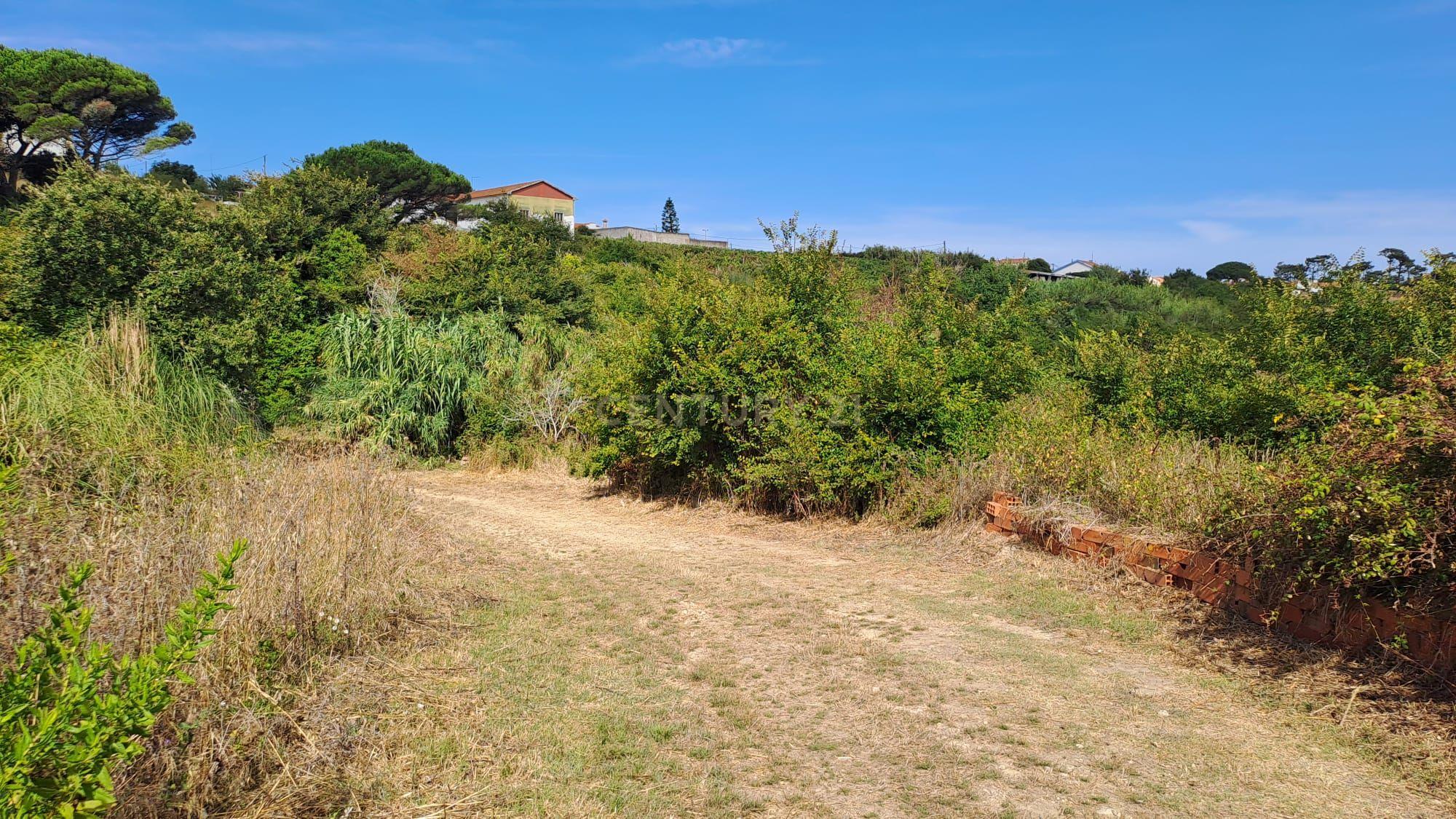 Fotografia 12 de Terreno Agrícola - São João das Lampas