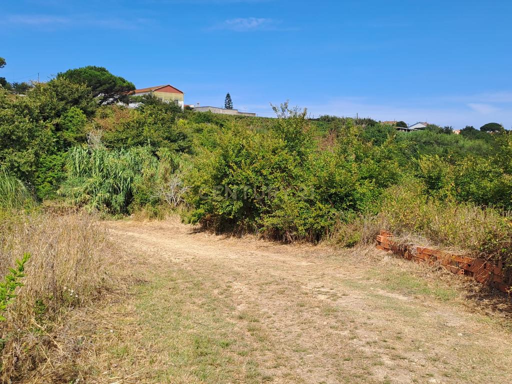 Terreno Agrícola - São João das Lampas - Image 12