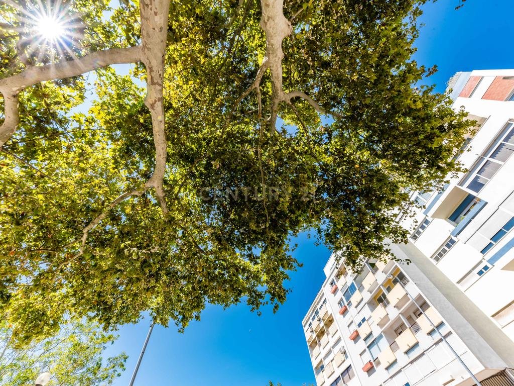  T4 no Lumiar – 143 m² com luz, espaço e equilíbrio - Image 31