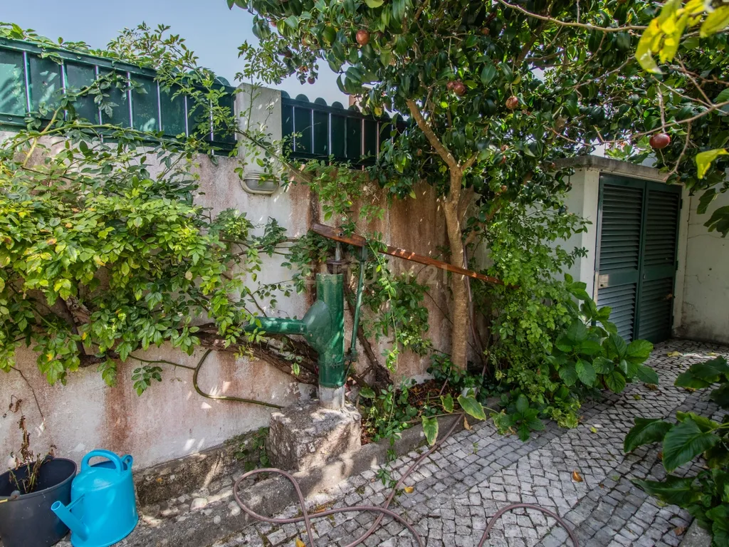 Moradia térrea T3+T0 com piscina, garagem e terreno com 2.257 m², no Ervedal, em Quiaios - Image 66