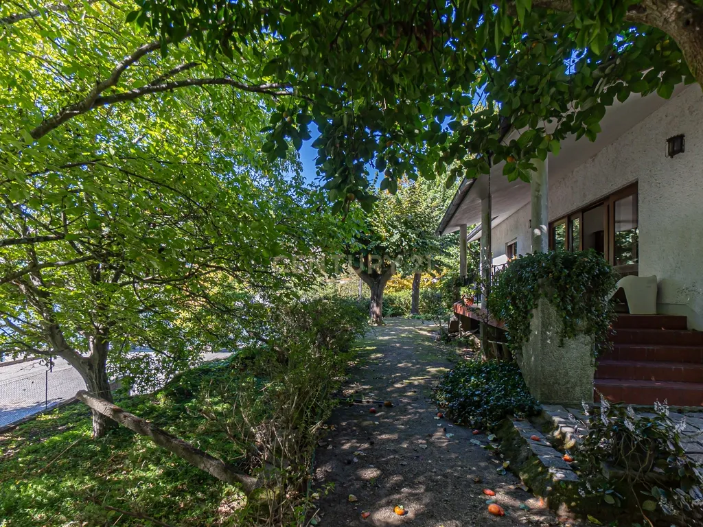 Moradia Térrea V3 na primeira linha dos Rios Douro e Tâmega com amplo jardim e garagem - Image 15