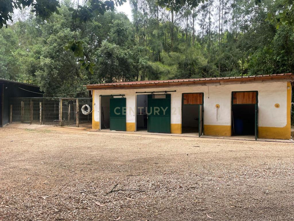Quinta de Charme - Refúgio de Sonho no Coração do Bombarral - Image 41
