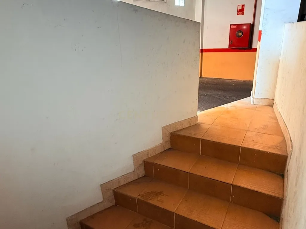 - Image 4