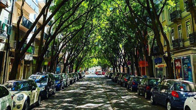 Apartamento T1 à venda em Campo de Ourique, Lisboa — foto 20
