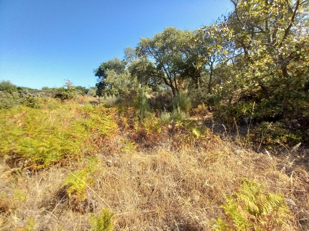 Terreno com 2180m2 , São Vicente da Beira, Castelo Branco - Image 4
