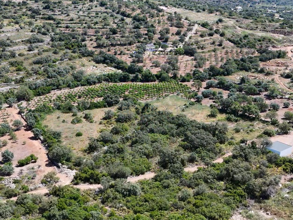 230.000€ Conjunto de 3 terrenos rústicos - Barranco de S. Miguel - Image 7