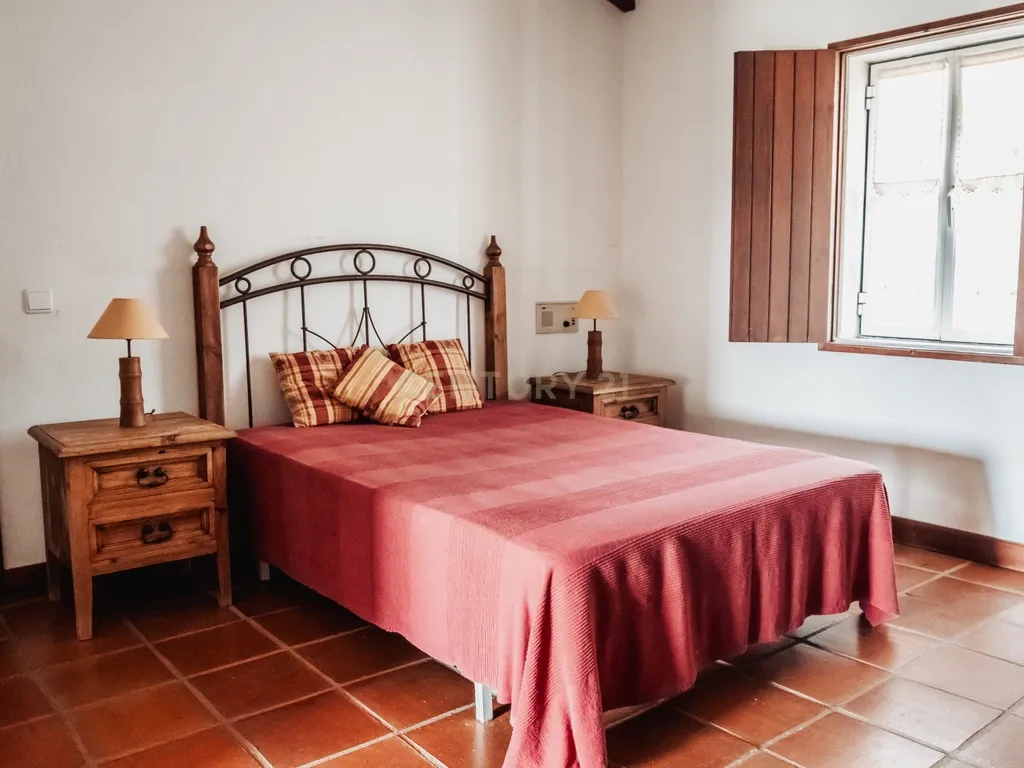 Herdade de Charme em Monte Redondo - Avis - Image 16
