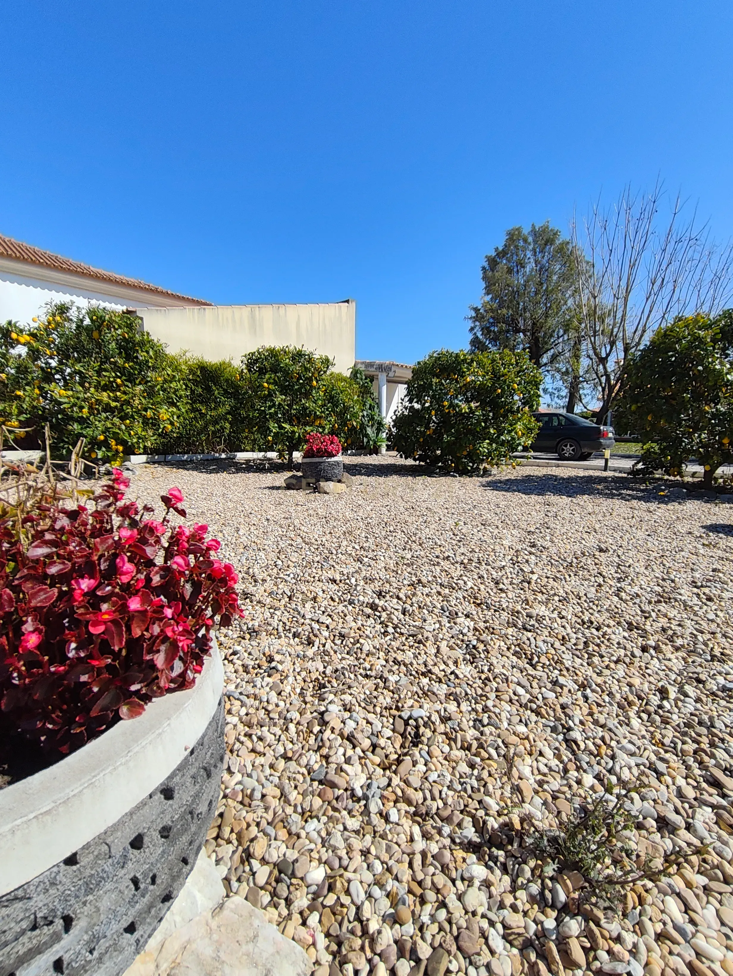 Fotografia 10 de Herdade de luxo em Azeitão, Setúbal