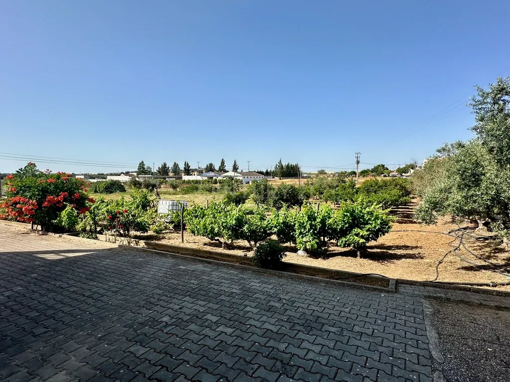 Alentejo-BEJA- Nossa Senhora das Neves, Excelente Quinta, com MORADIA de 267,3 m2 , Casa de Monte de 90 m2 e 23000 m2 de Terreno com Furo e Poço - Image 29