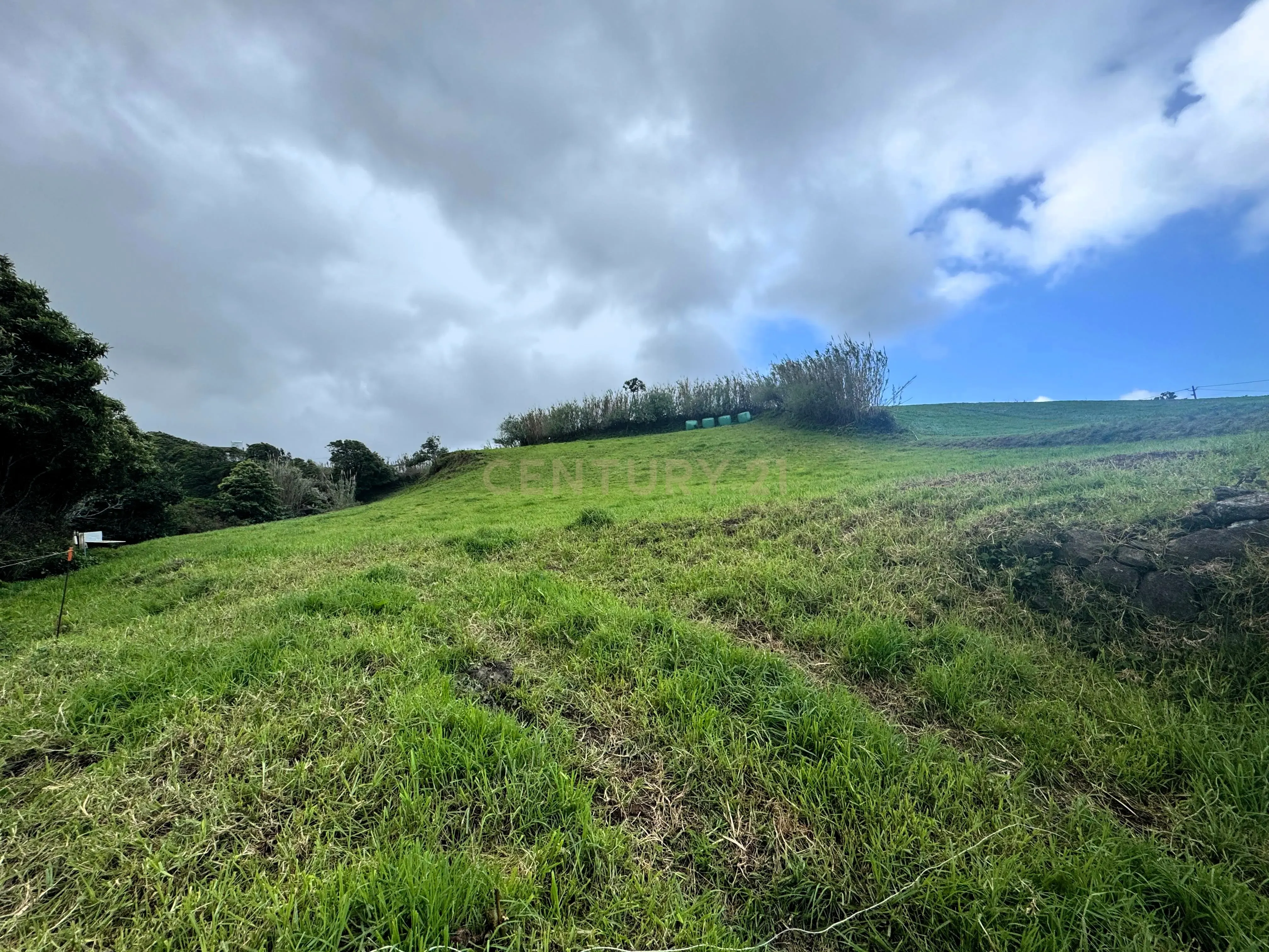 Fotografia 5 de Terreno Urbanizável na Lomba da Fazenda 🌅⛰️