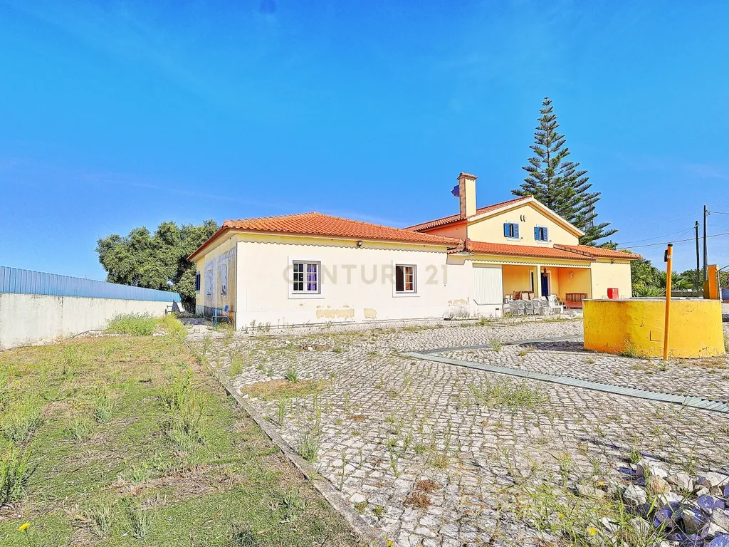 Oportunidade de Investimento, moradia com 6.500 m² de Terreno - Image 6