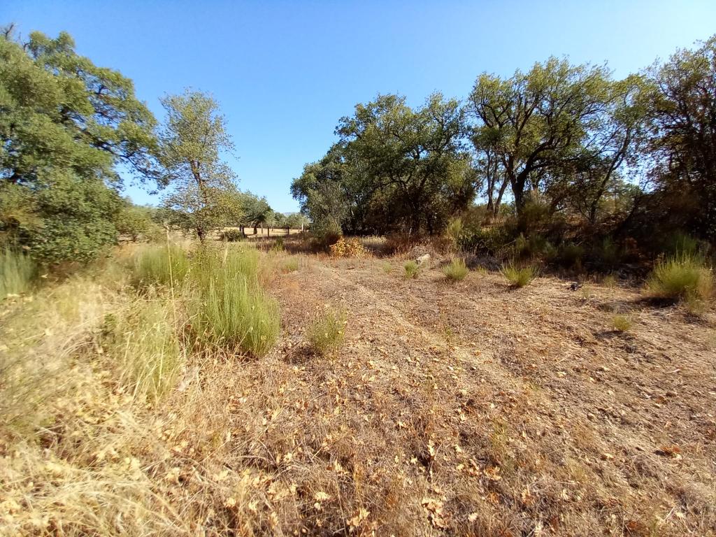 Terreno com 2180m2 , São Vicente da Beira, Castelo Branco - Image 3