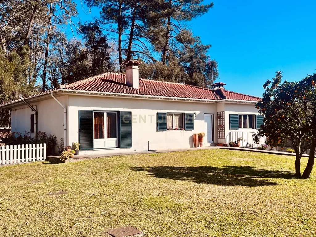 Espetacular Moradia T3 com Jardim em Viana do Castelo - Image 3