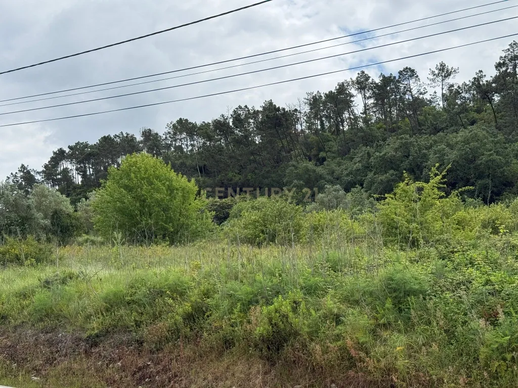 Terreno à venda em Alcobaça – Oportunidade única! - Image 13